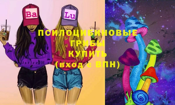 Альфа ПВП Алзамай