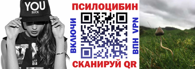 KRAKEN зеркало  Липки  Псилоцибиновые грибы GOLDEN TEACHER  цена наркотик 